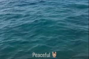 心如止水@哈兰德😎格拉利什晒海边度假照，配文：peaceful